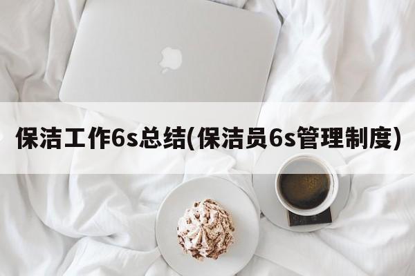 保洁工作6s总结(保洁员6s管理制度)